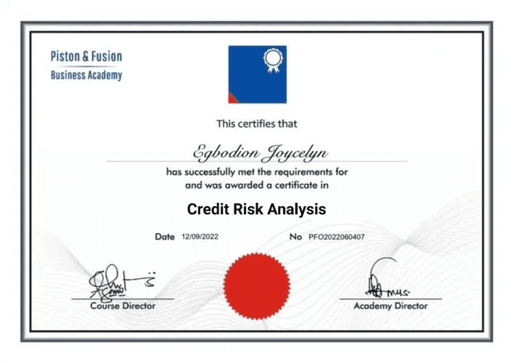 A Sample of the Credit Risk Analysis Certificate