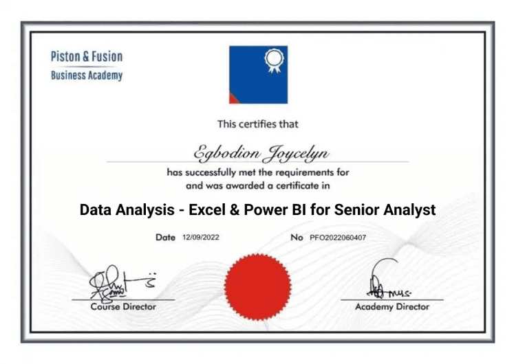 An Sample of the Data Analysis - Excel & Power BI for Senior Analyst certificate